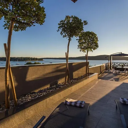 Vie In For 10 People With Heated Pool, Wellness And Cinema Villa Medulin