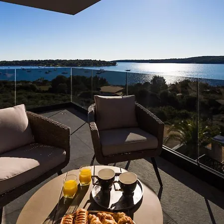 Vie In For 10 People With Heated Pool, Wellness And Cinema * Medulin