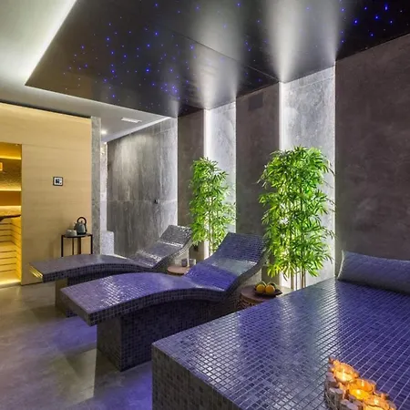 Vie In For 10 People With Heated Pool, Wellness And Cinema ヴィラ メドゥリン